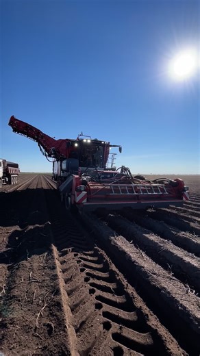 What in dewulf is this? Very nice harvester demo! #dewulf | Abe Bueckert