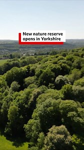 There's a brand new nature reserve in Bradford 🌳 | BBC Yorkshire