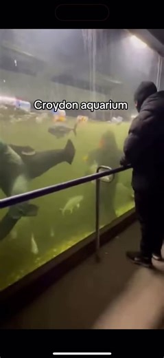 #croydon #aquarium