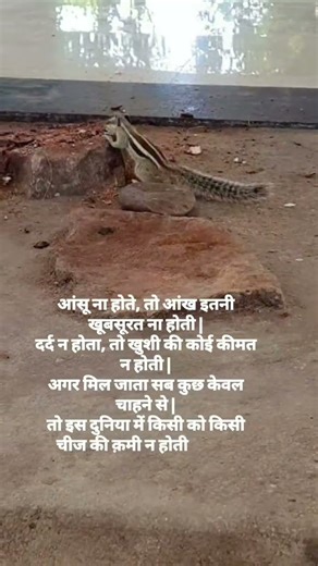 Beautiful Line || Quotes || Based on real life #quote #beautiful #life #trending #blog #viralshort