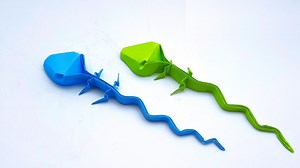 51K views · 208 reactions | How to fold origami lizard step by step - DIY back to school projects - Handmade easy paper toys #Crafts #PaperToy #OrigamiLizard | Entertaining Arts | Facebook