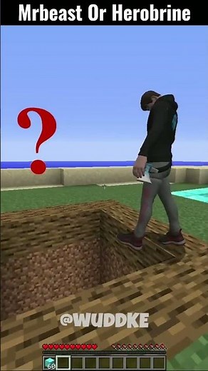 Hole Leads To Herobrine and Mr Beast 😍 #shorts #minecraft