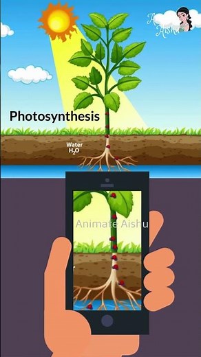 Science Study Tips That Actually Work!