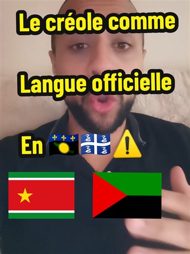 Le créole en Guadeloupe 🇬🇵 & et en Martinique 🇲🇶 ⚠️ #pourtoi #fyp #guadeloupe #french #france