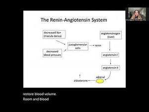 Lab Diagnosis: Aldosterone