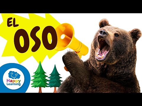 EL OSO | Animales para Niños | Happy Learning 🧸🐼🐻‍❄️ #happylearning #oso #animales