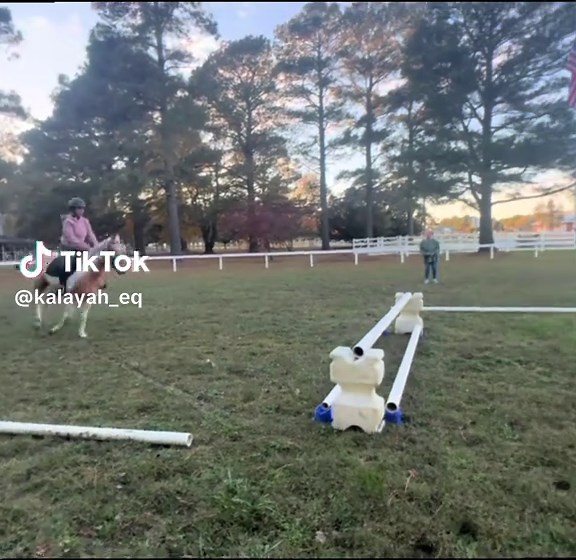 Celebrating the Love for Ponies Forever