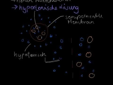 Diffusion und Osmose - Biologie