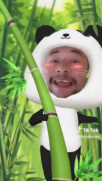 Híbridos Animal-Humano: Ciencia y Mitos