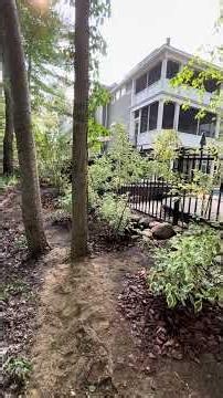 Natural Privacy Screen Planting with Serviceberry & Ivory Halo Dogwood