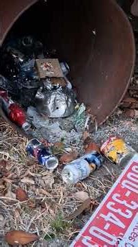 Daisy Red Ryder 1938b Tom Palmer Black Pearl day/night plinking. #cool #airgunshooting #shorts