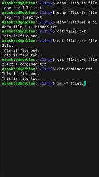 Concatenate and Display File Contents with cat
