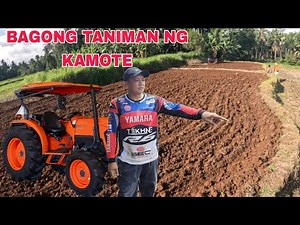 Bagong Taniman ng Kamote Pahabol / Kabilang are Gustong Pakyawin an mga Kamote