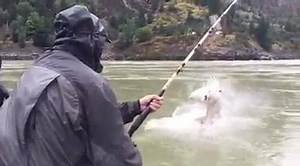 50K views · 313 reactions | Great River Fishing Adventures on Reels | Facebook