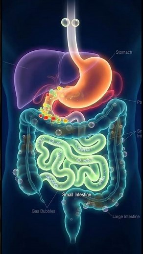 Why Does Your Stomach Growl? 🤯🍽️ | Hunger Sounds Explained