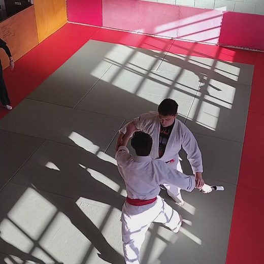 Shodokan Aikido Sheffield on Reels