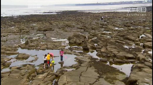 I_Can_Cook_on_the_Go_S01E07_Rockpool Pies and Rockpooling