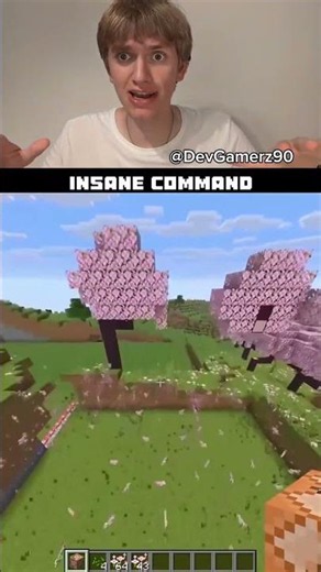 The insane Minecraft command for building
