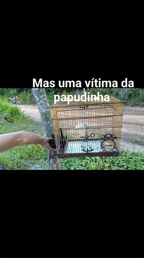 24 de março de 2026