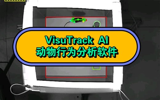 小鼠旷场实验，好软件好结果！VisuTrack AI 软件跟踪算法更新不止一“点”！