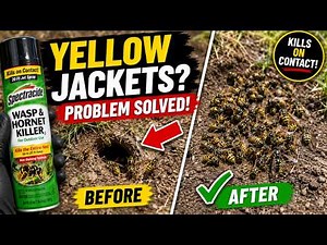 How to Kill Ground Nesting Yellow Jackets (Fast DIY Method)