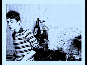 Beach Fossils - Window View