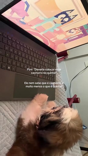 Cachorrinho Mimado e Engraçado no TikTok