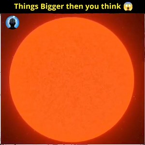 1.1M views · 48K reactions | Things bigger then you think, Part 3 #viralfacts #interestingfacts #funfacts #amazingfacts #viral #viralpage | Sharp Mind | Facebook