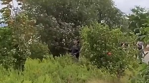 5.8K views | Toronto Kite Club Official With Hamilton Kite Club...