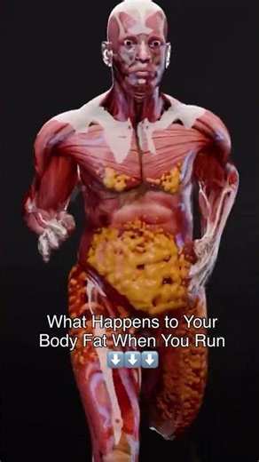What happens to your body fat when you run? #healthtips