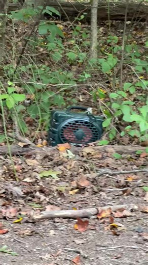 56K views · 641 reactions | How bout that Turtle Box | Decatur's Crabs | Facebook