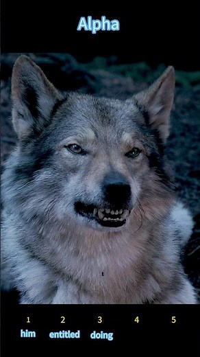 Alpha (2018) | The First Hunt Together