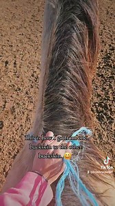 2.8K views · 102 reactions | My Buckskin Duo never let's me down. ❤️ And neither does twine!  #BuckskinDuo #Horses #Twins #MyGirls #Twine #RidingHorses #mypassion #betteryourself #nevergiveup #myhappiness #Duo #Twinsies #SoCool #Bareback #SwitchUp | Cowgirl Tuff Colt Training | Facebook