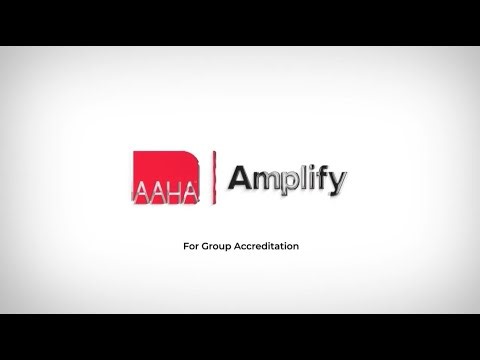 What is AAHA Amplify?