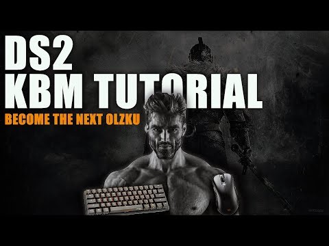 Keyboard+Mouse setup tutorial for DS2 speedrunning
