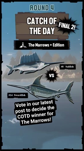 The final battle for COTD The Marrows is on! Can the Sailfish defend its throne? #catchoftheday