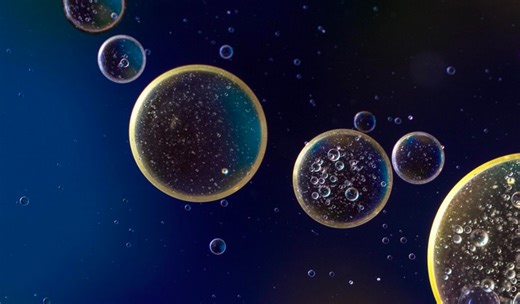 Opening New Avenues in Neurodegenerative Disease Research | Clinical And Molecular Dx