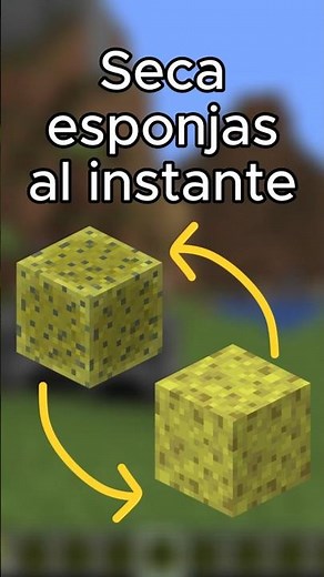 Dry sponges instantly in Minecraft ☀️🌡️ #minecraft #mojang #minecraftfacts