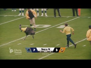 Liberty Mutual Insurance LiMu Emu on the motorcycle Ad