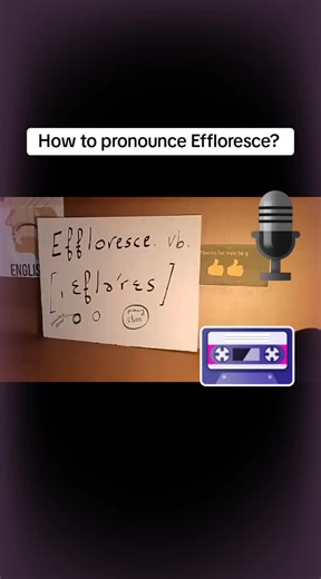 #Effloresce pronunciation# Effloresce meaning# #brainy #Practice #Learn @•Fly•Air•Sim•