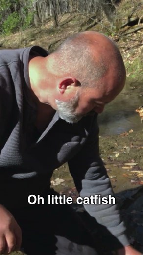 Bamboo Minnow Trap Results — Bushcraft Build (Part 2)