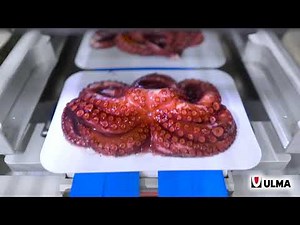 Whole octopus packaging with LeafSkin™