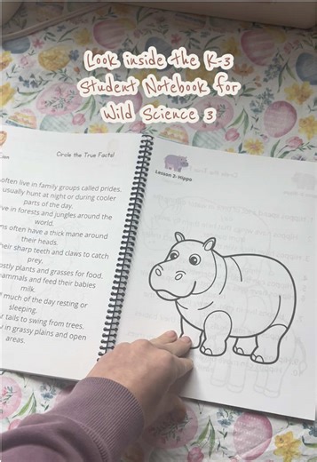 This notebook is for kindergarten through third grade, although it might be too advanced for some kindergarten and too easy for some third graders. Make sure you check my profile for how you can try before you buy. :)
