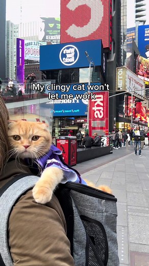 Get Your Cat the Scratch Pad Pro from Amazon