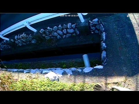 2026.1.9、環境ライブ、神明川支流河川カメラ、live of micro river from japan, mikkabi hamamatsu japan