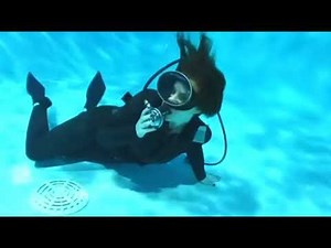 Female Diver is Diving with Smooth Skin Wetsuit