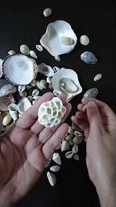 treasure#sheel#sea#beauty#wave