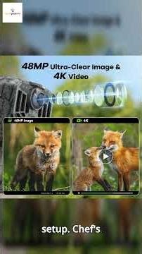 DEATTI Trail Camera: Uncover the Secrets of Wildlife! 🦊📸🌙