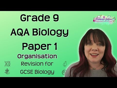 Grade 9 | AQA Biology Paper 1 | Organisation | Exam Revision
