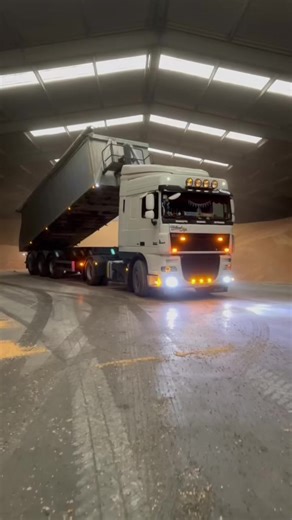 Daf XF105: Holland Style Review and Features